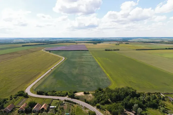 Prodej rodinného domu, Čejkovice, 139 m2