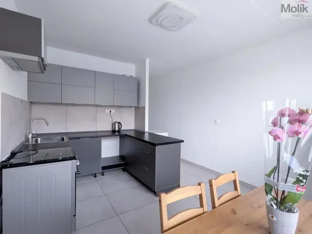 Prodej bytu 1+1, Teplické Předměstí, Sídliště Za Chlumem, 35 m2