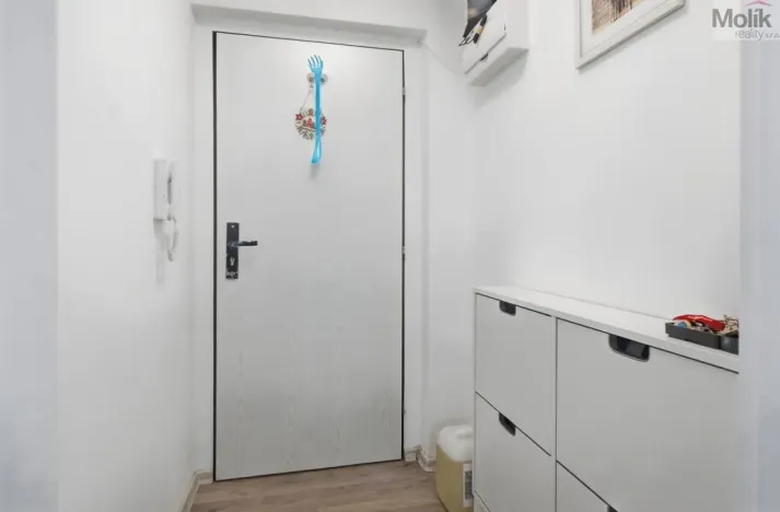 Prodej bytu 3+kk, Milovice - Mladá, Spojovací, 66 m2