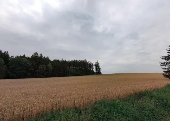 Prodej pole, Červený Újezd - Třetužel, 23308 m2