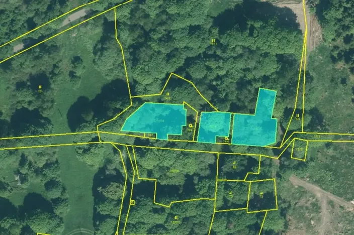 Prodej louky, Staré Sedliště - Labuť, 1713 m2