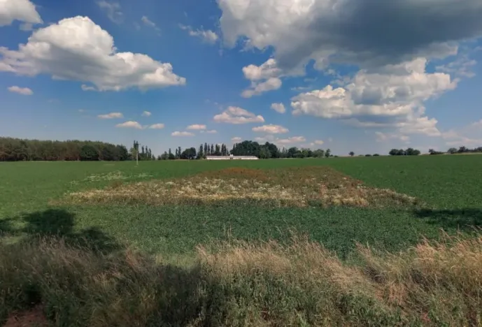 Prodej zahrady, Řepeč - Kášovice, 1434 m2