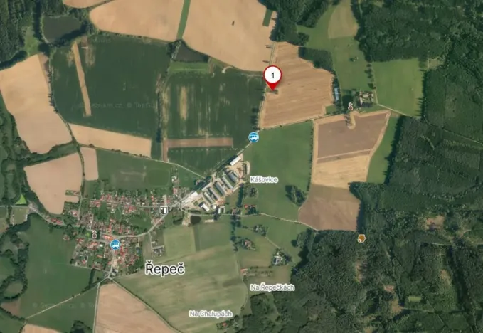 Prodej zahrady, Řepeč - Kášovice, 1434 m2