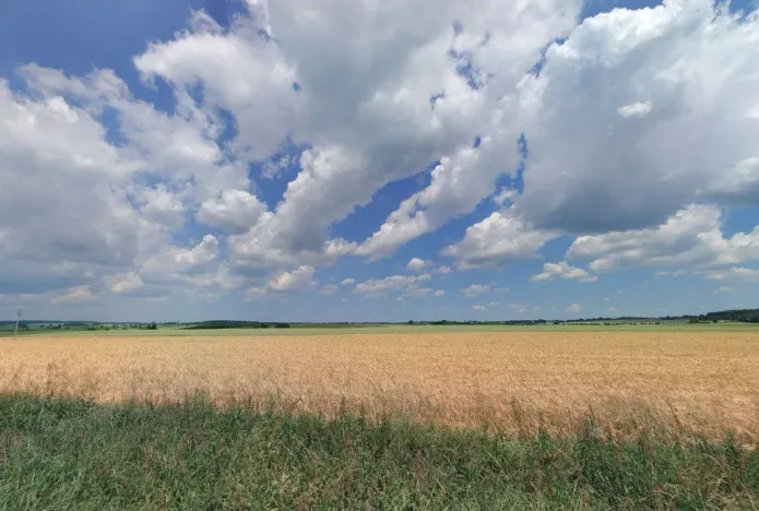Prodej pole, Stádlec - Hájky, 17261 m2