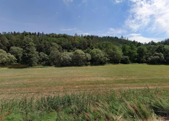 Prodej louky, Sázava - Čeřenice, 3578 m2