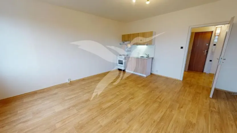 Pronájem bytu 1+kk, Plzeň, Hodonínská, 31 m2