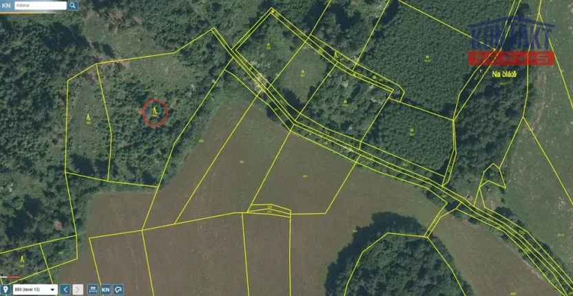 Prodej lesa, Oselce, 6402 m2