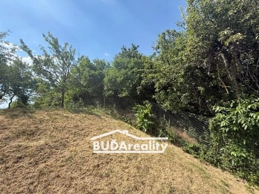Prodej pozemku pro bydlení, Tavíkovice, 697 m2