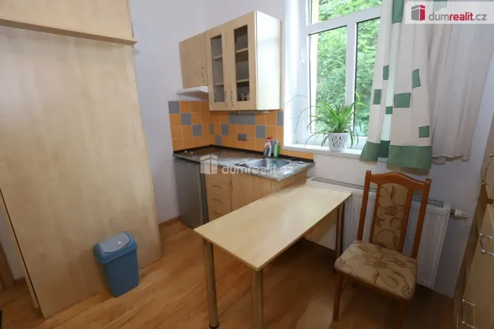 Pronájem bytu 1+kk, Mariánské Lázně - Úšovice, Palackého, 20 m2