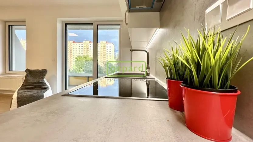 Pronájem bytu 1+kk, Brno - Židenice, Koperníkova, 44 m2