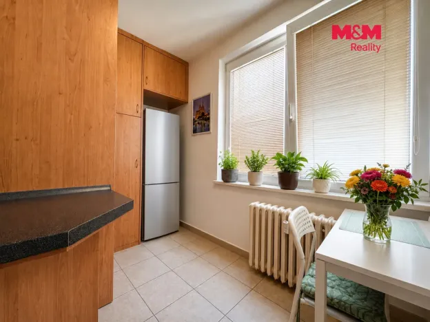 Prodej bytu 1+1, Ostrava - Výškovice, Lumírova, 40 m2