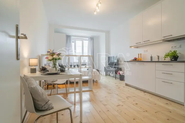 Pronájem bytu 1+kk, Praha - Holešovice, Jankovcova, 27 m2