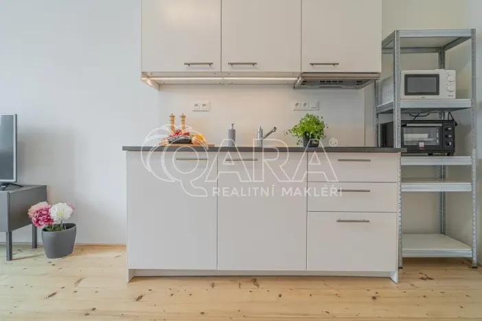 Pronájem bytu 1+kk, Praha - Holešovice, Jankovcova, 27 m2