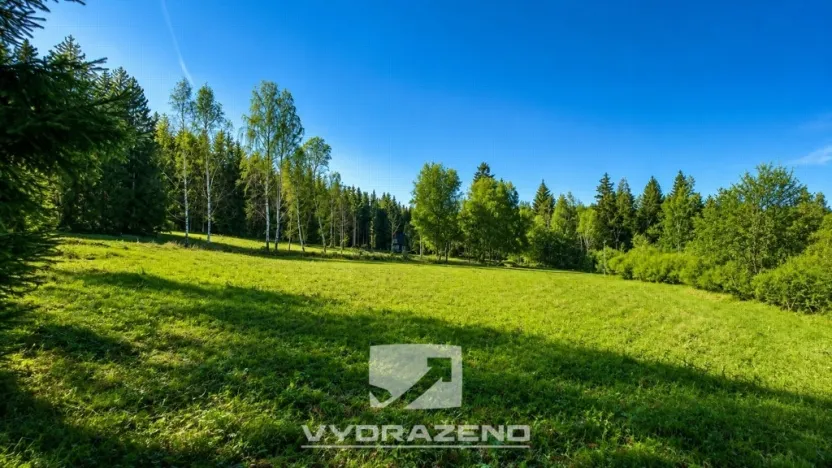 Prodej louky, Josefův Důl, 6990 m2