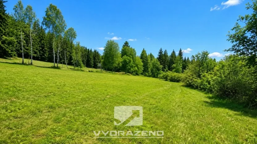 Prodej louky, Josefův Důl, 6990 m2