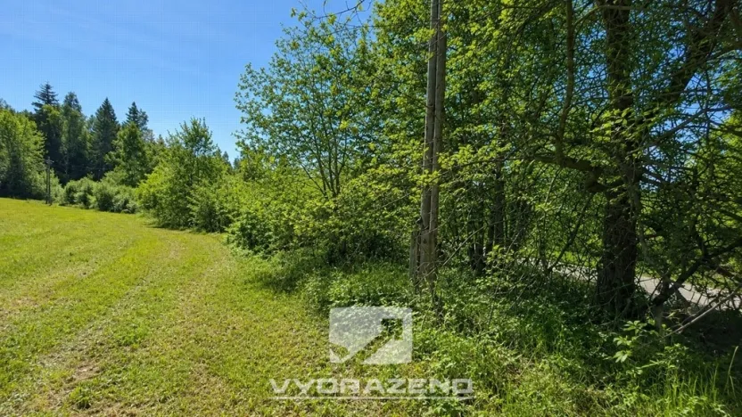 Prodej louky, Josefův Důl, 6990 m2