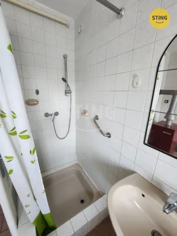 Prodej rodinného domu, Němčice nad Hanou, Čsl. armády, 240 m2