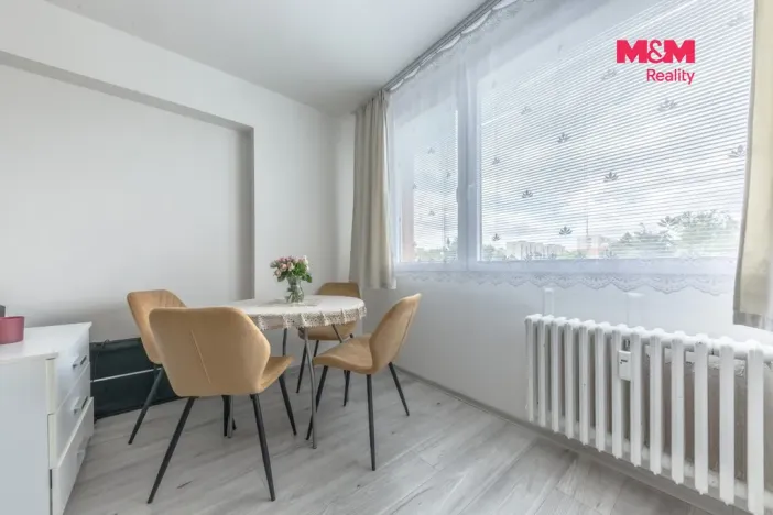 Prodej bytu 2+kk, Mladá Boleslav - Mladá Boleslav II, Jana Palacha, 42 m2