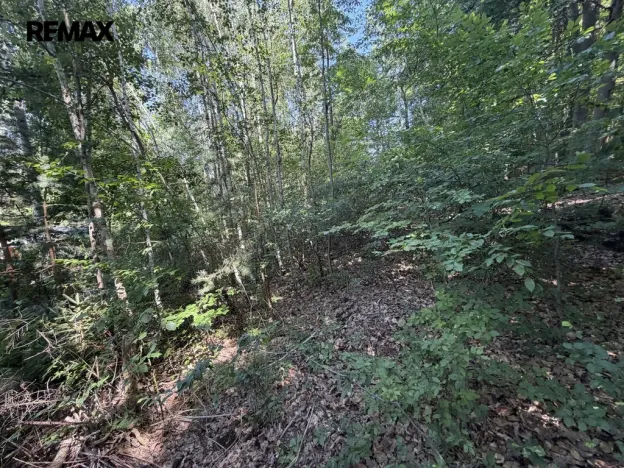Prodej pozemku pro bydlení, Klopina, 439 m2