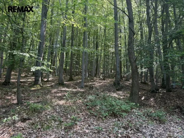 Prodej pozemku pro bydlení, Klopina, 439 m2