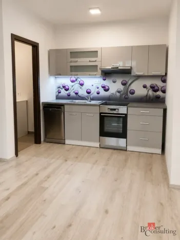 Pronájem bytu 2+kk, Zbůch, Vrbová, 45 m2