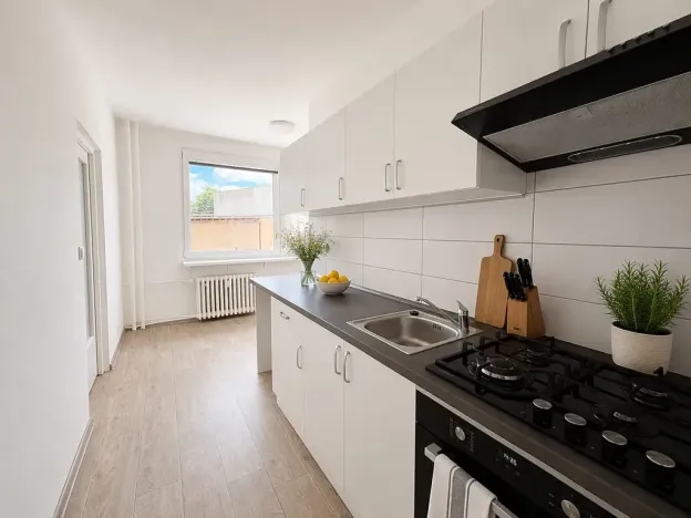Pronájem bytu 3+1, Litvínov, Rooseveltova, 66 m2