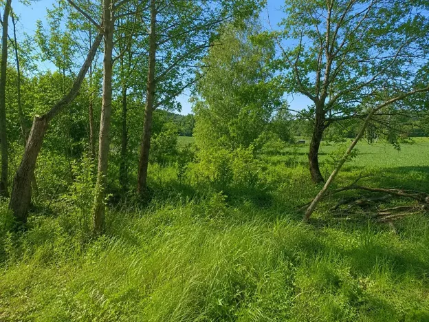 Prodej zahrady, Vilice, 1008 m2