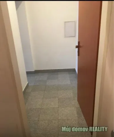 Pronájem bytu 1+kk, Praha - Vysočany, Freyova, 19 m2