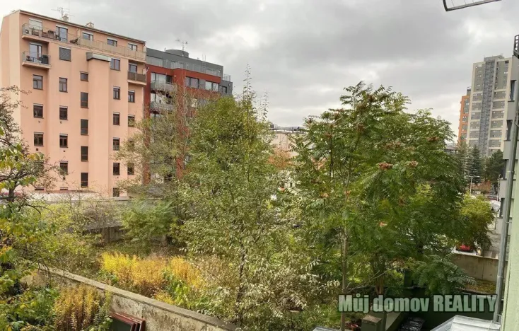 Pronájem bytu 1+kk, Praha - Vysočany, Freyova, 19 m2