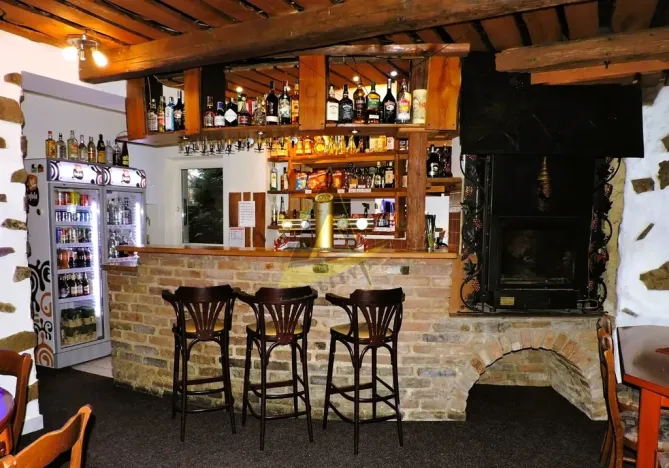 Prodej restaurace, České Budějovice - České Budějovice 7, Lidická tř., 265 m2