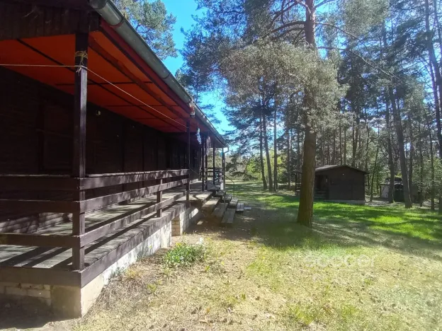 Prodej lesa, Slabčice, 6225 m2