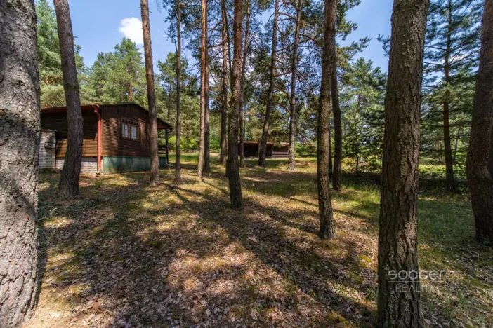 Prodej lesa, Slabčice, 6225 m2