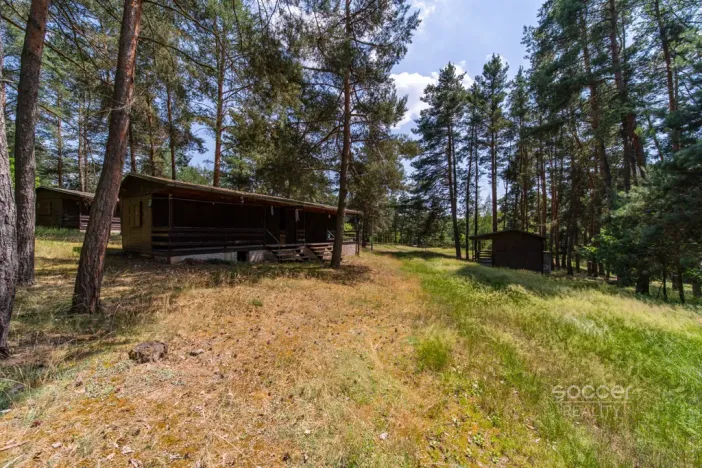 Prodej lesa, Slabčice, 6225 m2