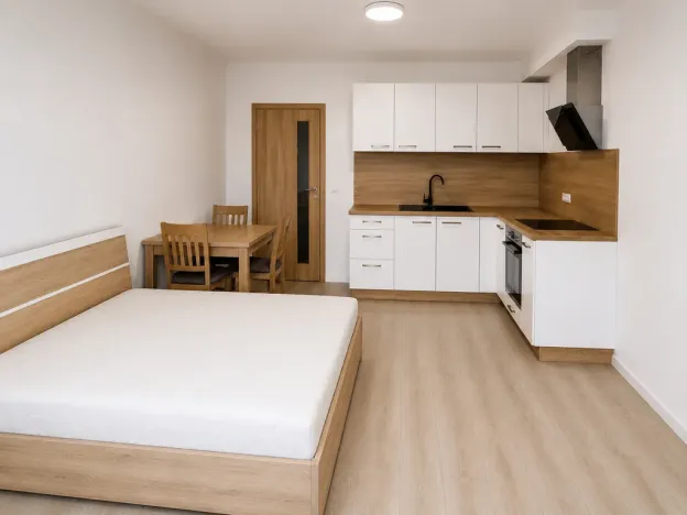 Pronájem bytu 1+kk, Olomouc, Edmunda Husserla, 29 m2