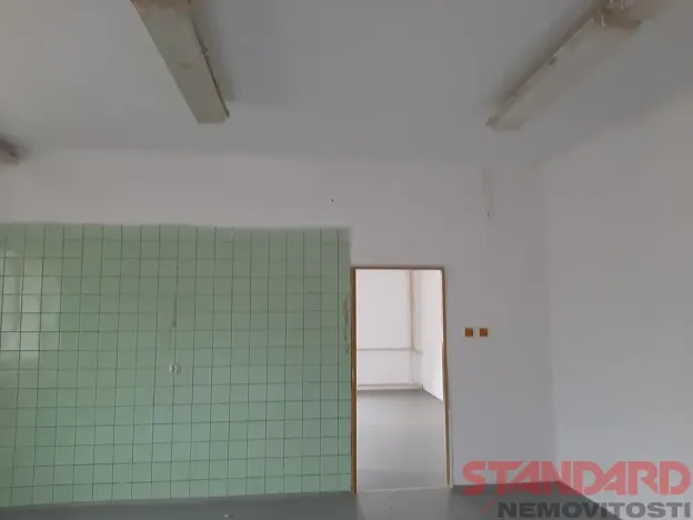 Pronájem komerční nemovitosti, Lužany, 64 m2