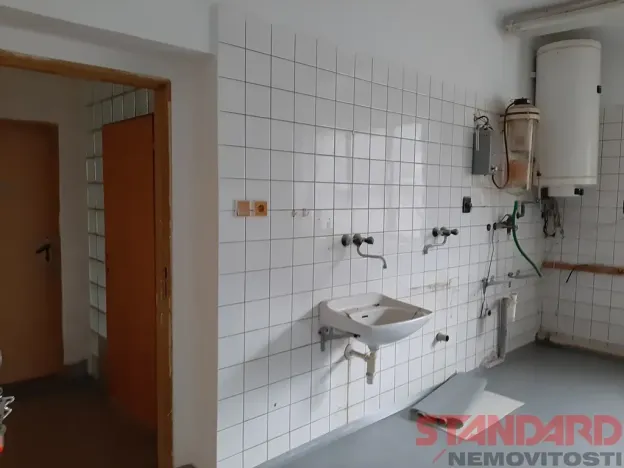 Pronájem komerční nemovitosti, Lužany, 64 m2