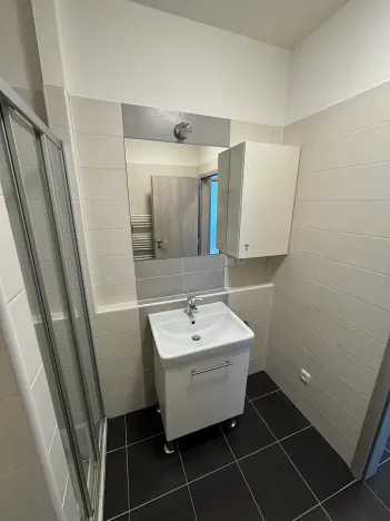 Pronájem bytu 1+kk, Brno, Vranovská, 26 m2
