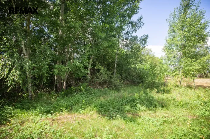 Prodej pozemku pro bydlení, Rožmitál pod Třemšínem, 876 m2