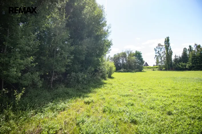 Prodej pozemku pro bydlení, Rožmitál pod Třemšínem, 876 m2