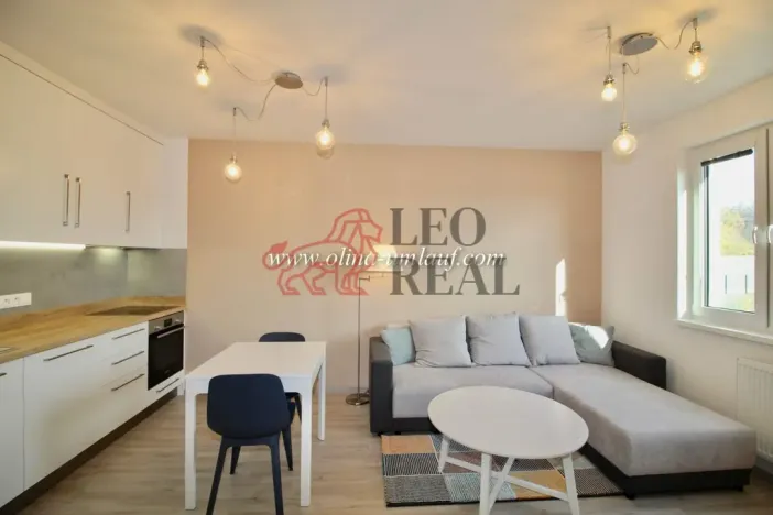 Pronájem bytu 2+kk, Praha - Vysočany, Strnadových, 63 m2