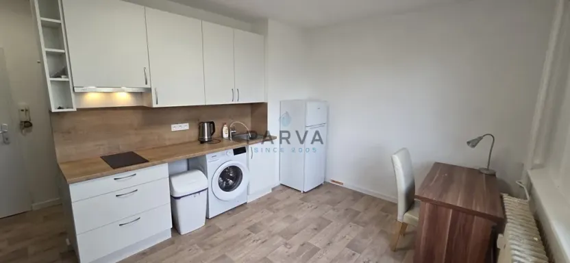 Pronájem bytu 1+kk, Plzeň - Jižní Předměstí, U Borského parku, 20 m2