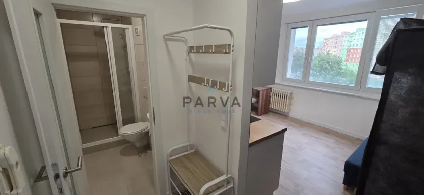 Pronájem bytu 1+kk, Plzeň - Jižní Předměstí, U Borského parku, 20 m2