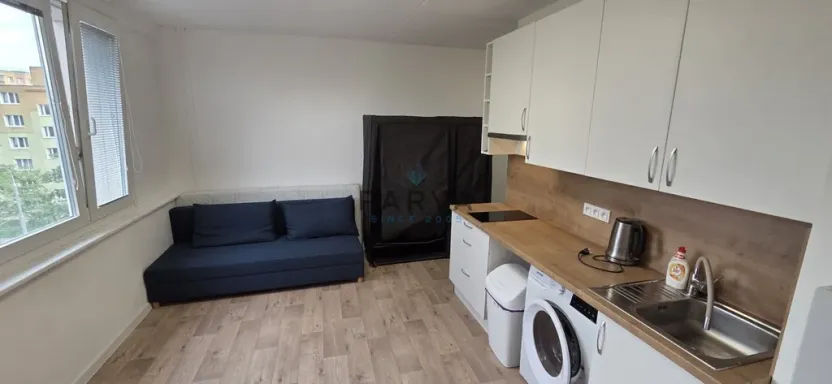 Pronájem bytu 1+kk, Plzeň - Jižní Předměstí, U Borského parku, 20 m2