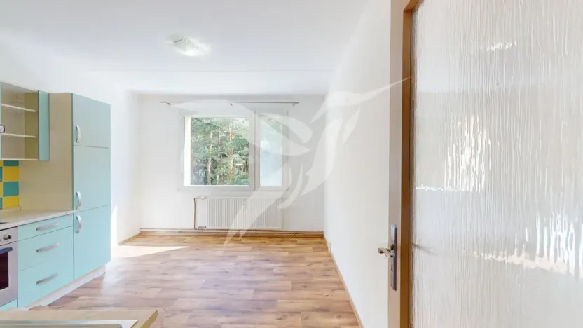 Pronájem bytu 1+1, Horní Bříza, Na Kaolince, 38 m2