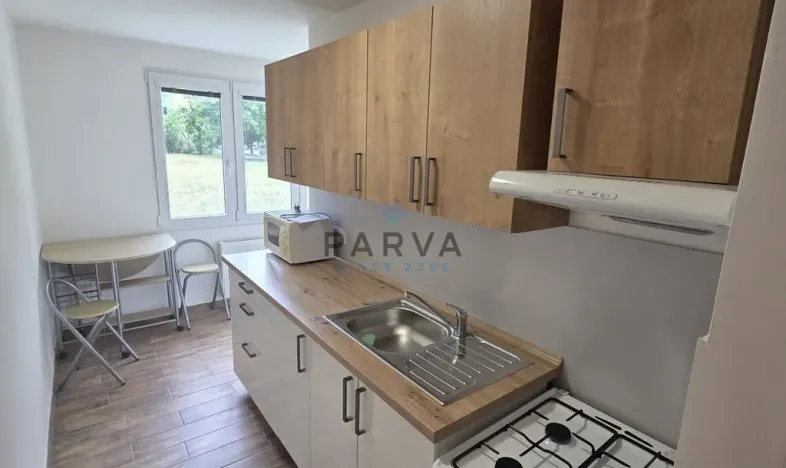 Pronájem bytu 1+1, Plzeň - Doubravka, Staniční, 41 m2