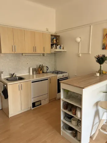 Pronájem bytu 1+1, Praha - Bubeneč, Terronská, 55 m2