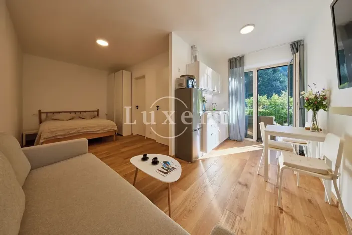 Prodej bytu 1+kk, Pec pod Sněžkou, 36 m2