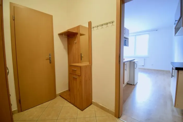 Pronájem bytu 1+kk, Brno - Medlánky, Hrázka, 38 m2