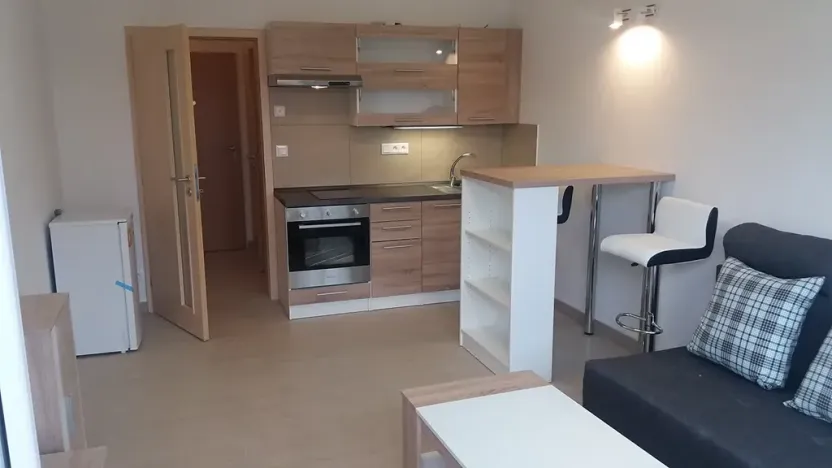 Pronájem bytu 1+kk, Brno, Hostinského, 28 m2