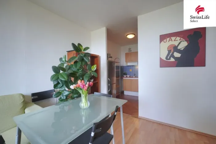 Prodej bytu 2+kk, Praha - Stodůlky, Klukovická, 45 m2